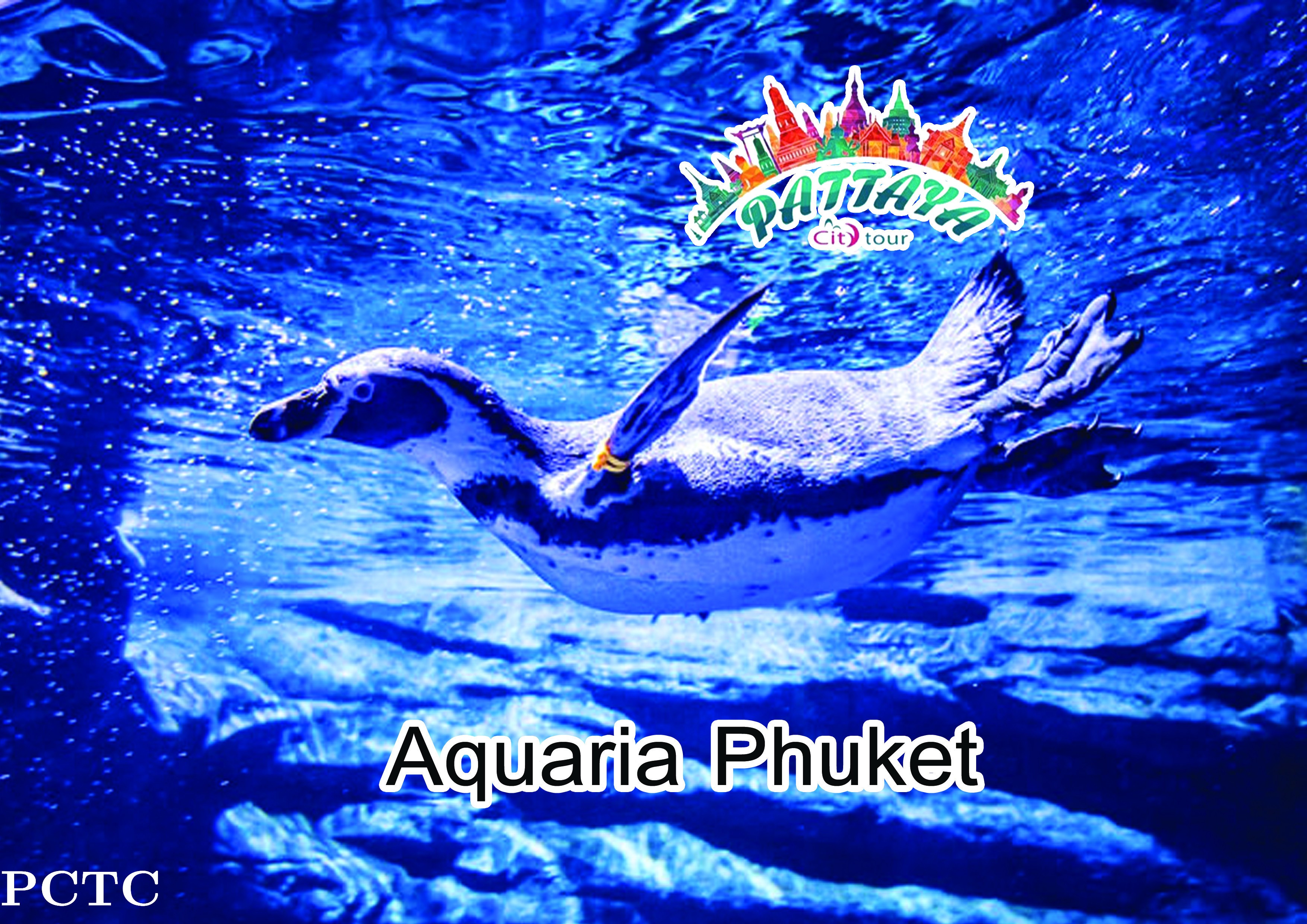 aquaria-phuket-8190.jpeg