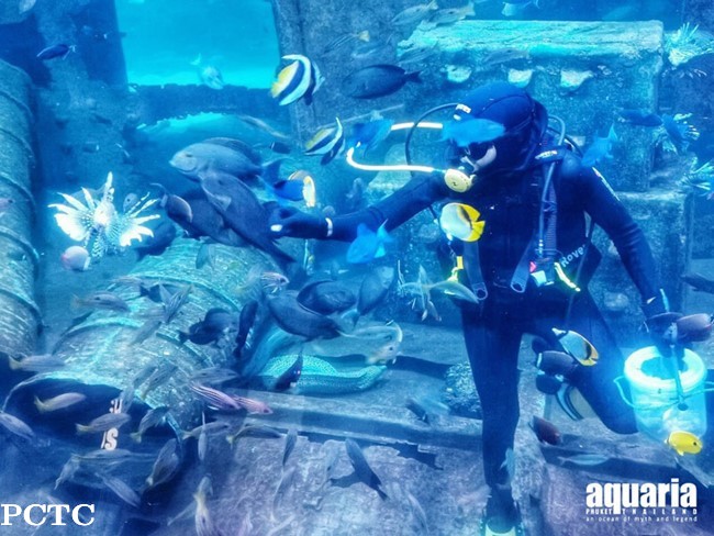 aquaria-phuket-9613.jpg