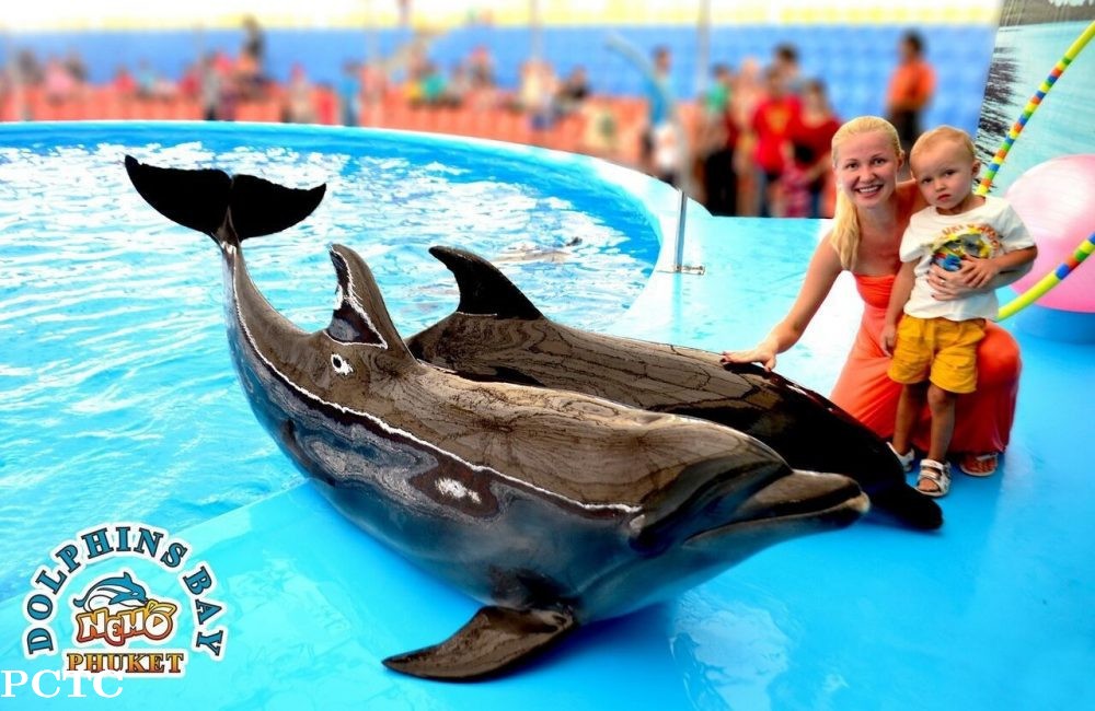 dolphins-bay-phuket-5541.jpg