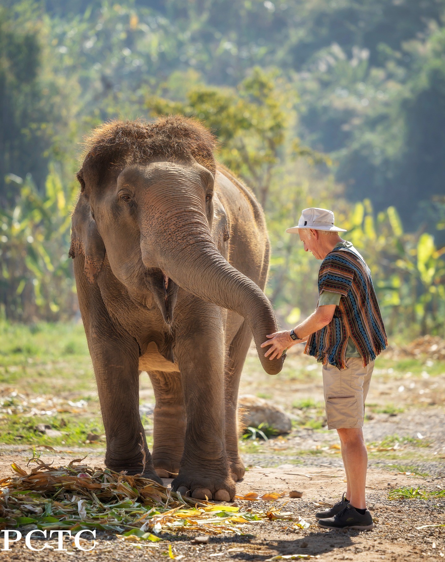 elephant-jungle-sanctuary-chiang-mai-2167.jpg