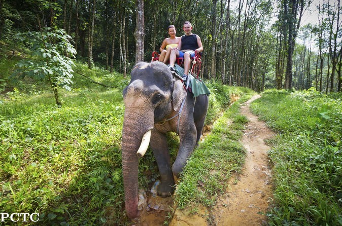 elephant-trekking-1480.jpg