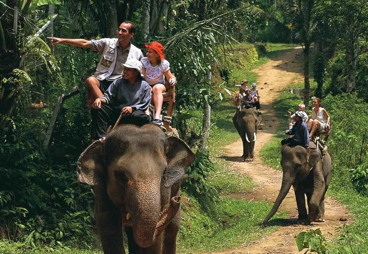 elephant-trekking-3123.webp