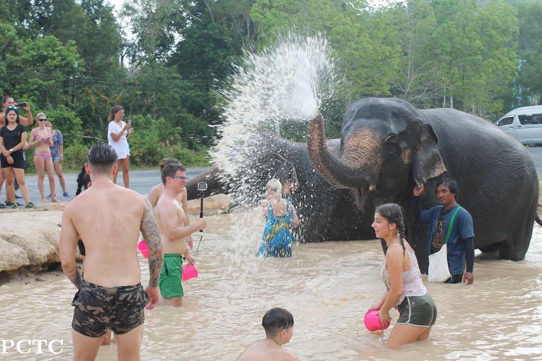 green-elephant-sanctuary-park-phuket-1219.jpg
