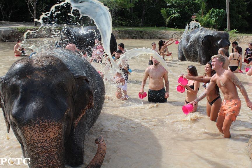 green-elephant-sanctuary-park-phuket-2866.jpg