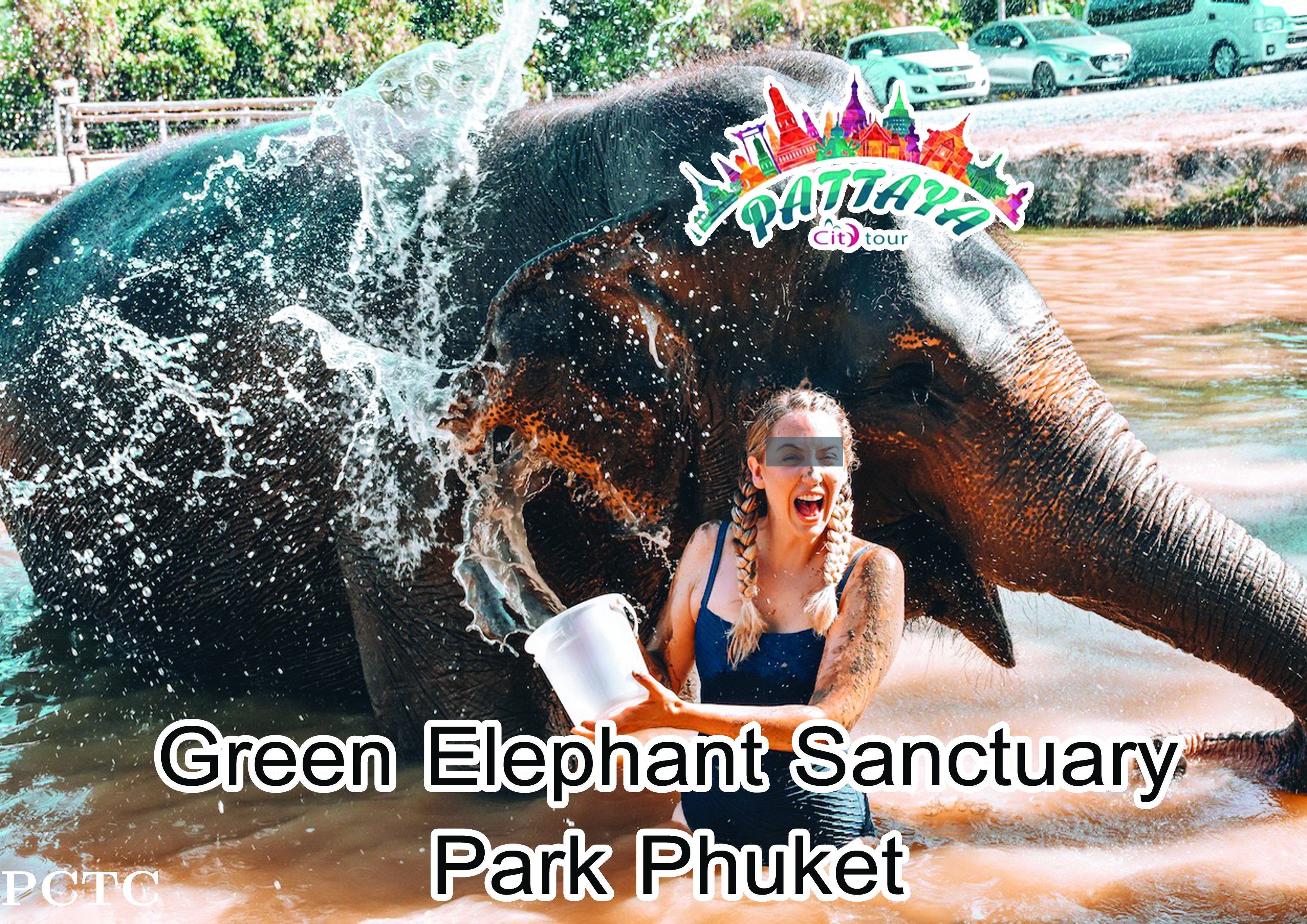 green-elephant-sanctuary-park-phuket-6621.jpg