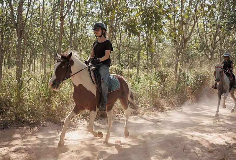 horse-riding-2207.webp
