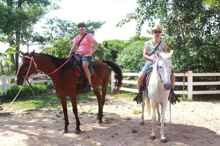 horse-riding-5543.jpg