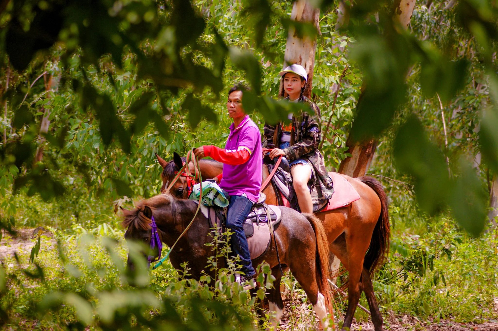 horse-riding-8817.webp