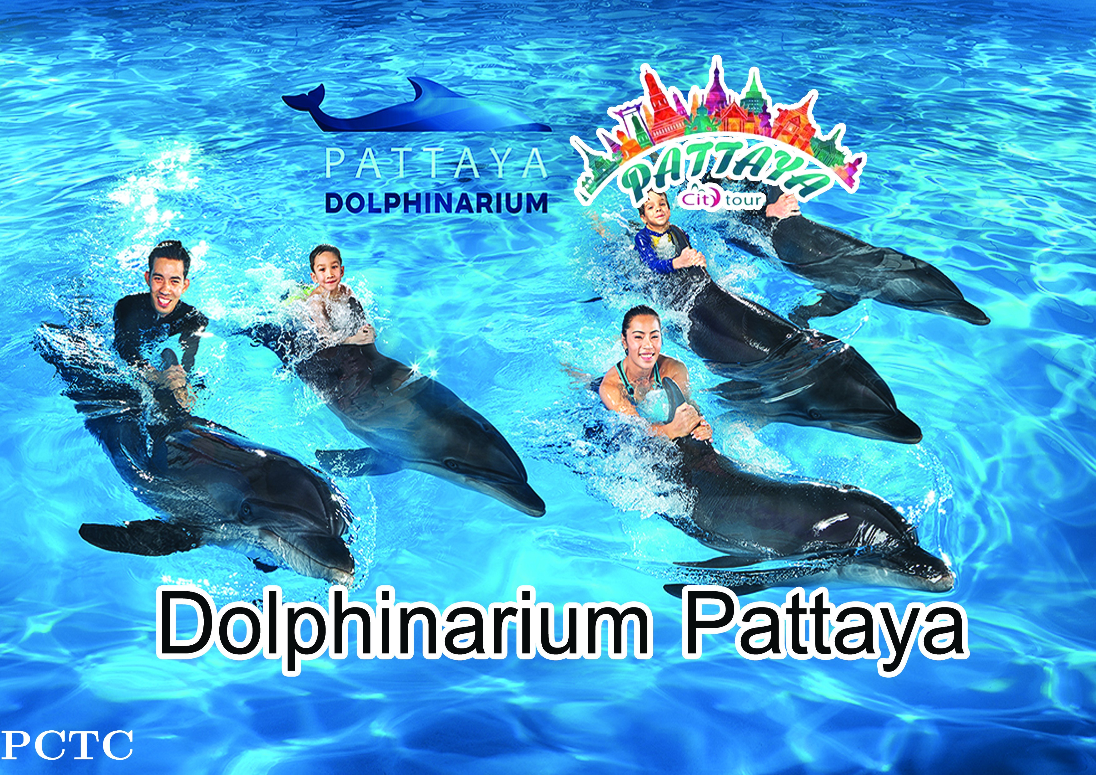 pattaya-dolphinarium-2004.jpg