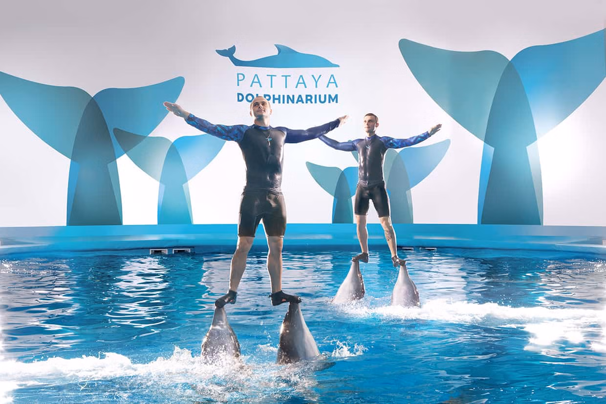 pattaya-dolphinarium-6359.avif
