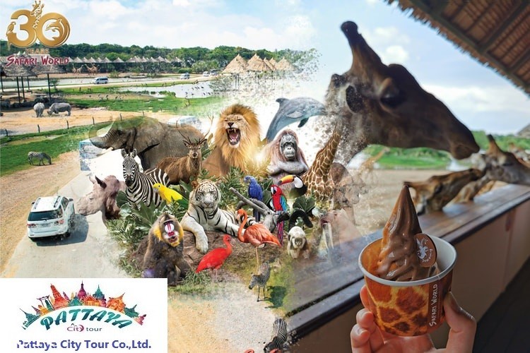safari-world-bangkok-4953.jpg