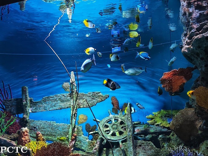 sea-life-ocean-world-bangkok-3350.jpg
