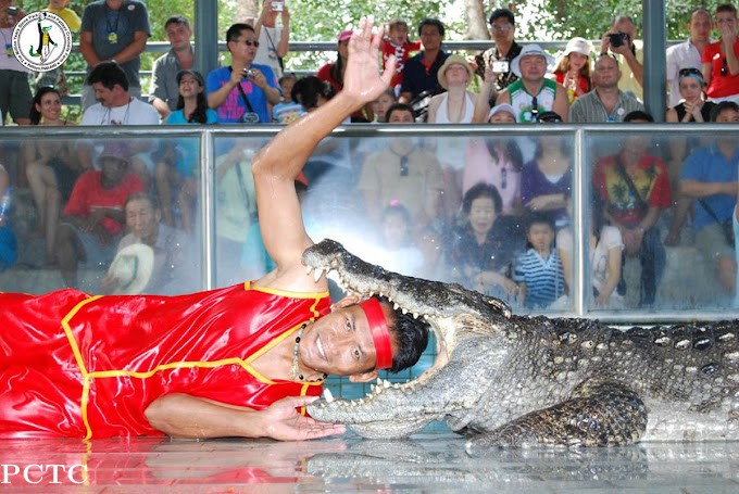 the-million-years-stone-park-pattaya-crocodile-farm-5712.jpg