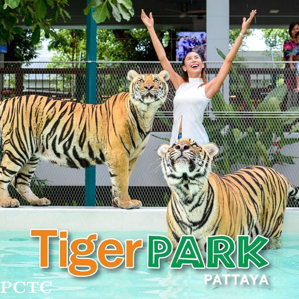 tiger-park-pattaya-9967.jpg