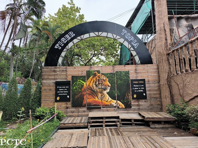 tiger-topia-sriracha-zoo-5727.jpg