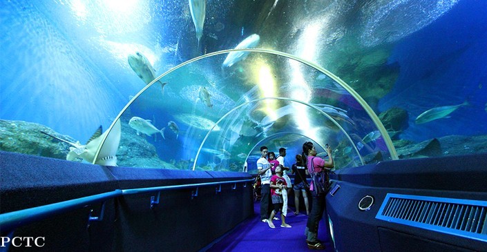 underwater-world-pattaya-8828.jpg