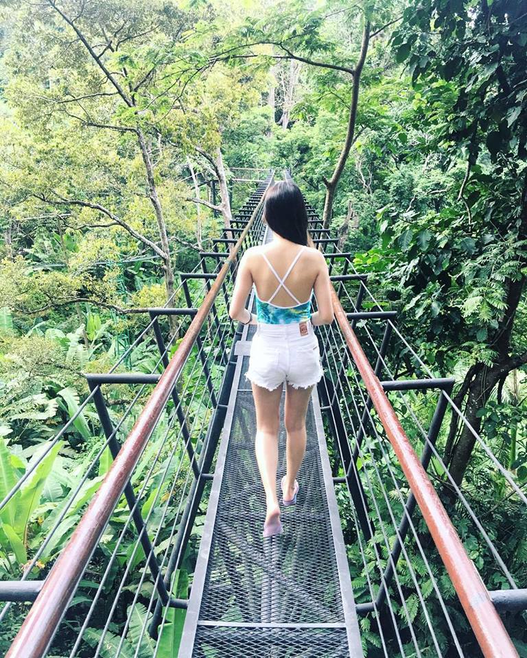 PCTC - 242 - World B+ All activities Super Save image