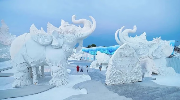 Entrance Ticket + Overcoat + Soft Drink In Ice Glass image