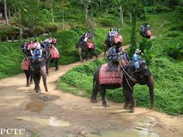 Program : 4 - Elephant Trekking 30 Minutes + Tiger Park - Medium Tiger With Photo + ATV 30 Minutes + Big Buddha View Point + Chalong Temple + Cashew Nut Factory + Honey Farm + Coffee Break & Souvenir Shop + SIC Hotel Transfer image
