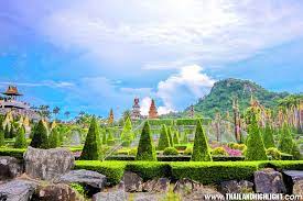 Entrance Ticket + Show + Sightseeing Bus  image