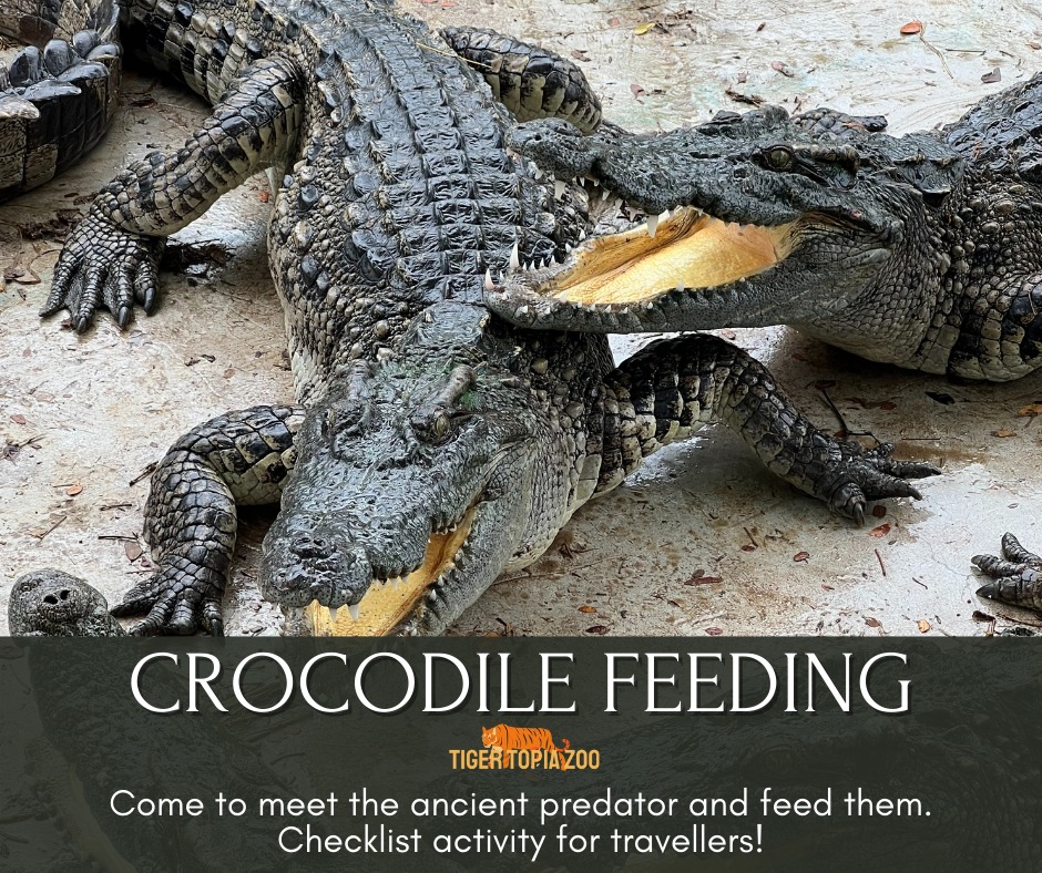 Photo With Large Crocodiles image