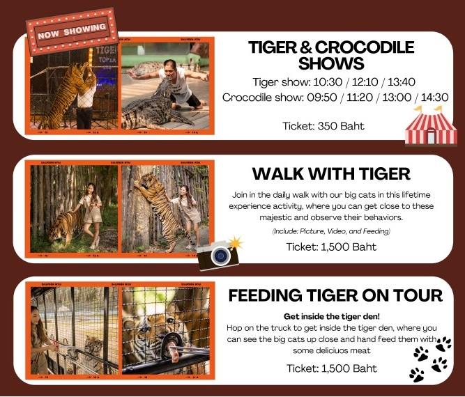 Forest walk with tiger