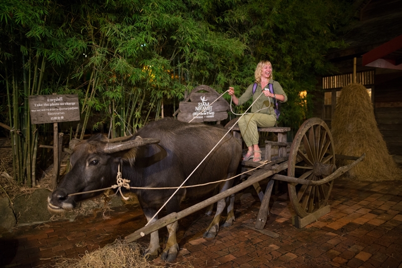 Gold Seat + Buffet Dinner { Buy 1 get 1 free } image