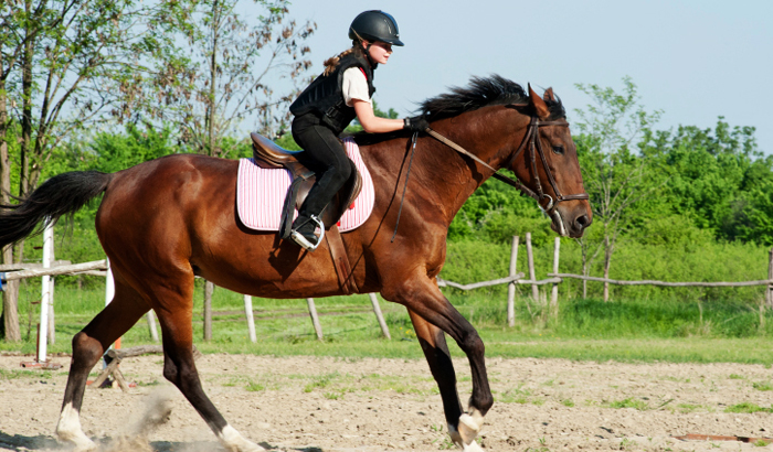 PCTC - 147 - 30 Minutes Horse Riding + Hotel Transfer image