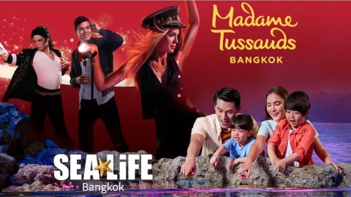 Package - D - Sea Life Ocean World + Madame Tussauds Museum + SIC Hotel Transfer image