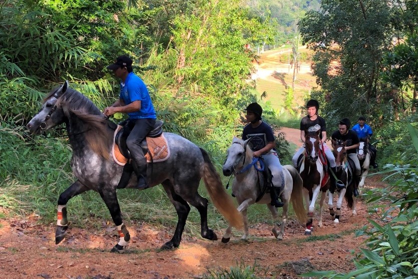 PCTC - 148 - 60 Minutes Horse Riding + Hotel Transfer