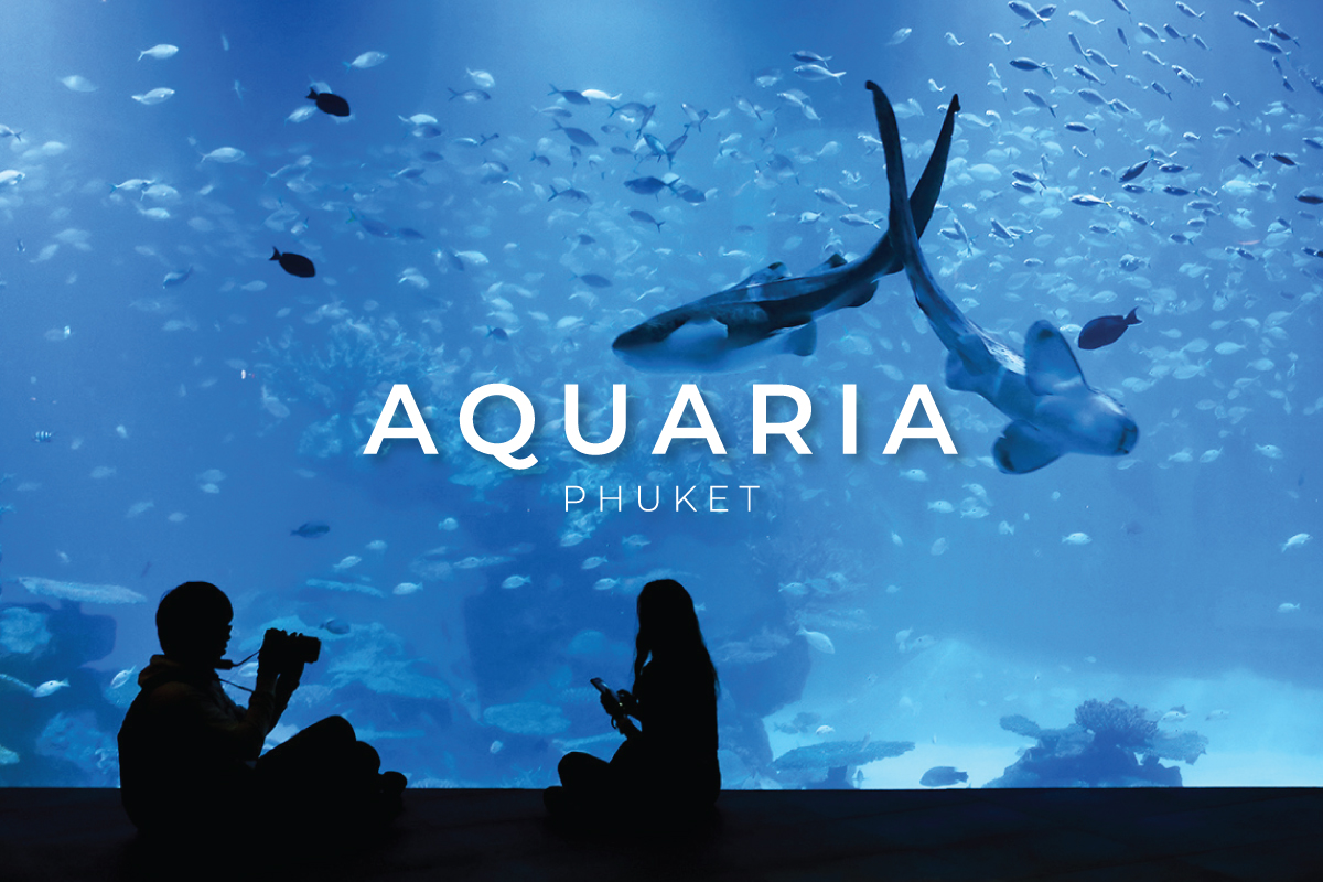 Aquarium Entrnce Ticket image